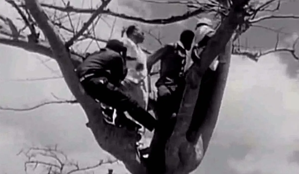 Personnes dans un arbre pour voir le discours de De Gaulle