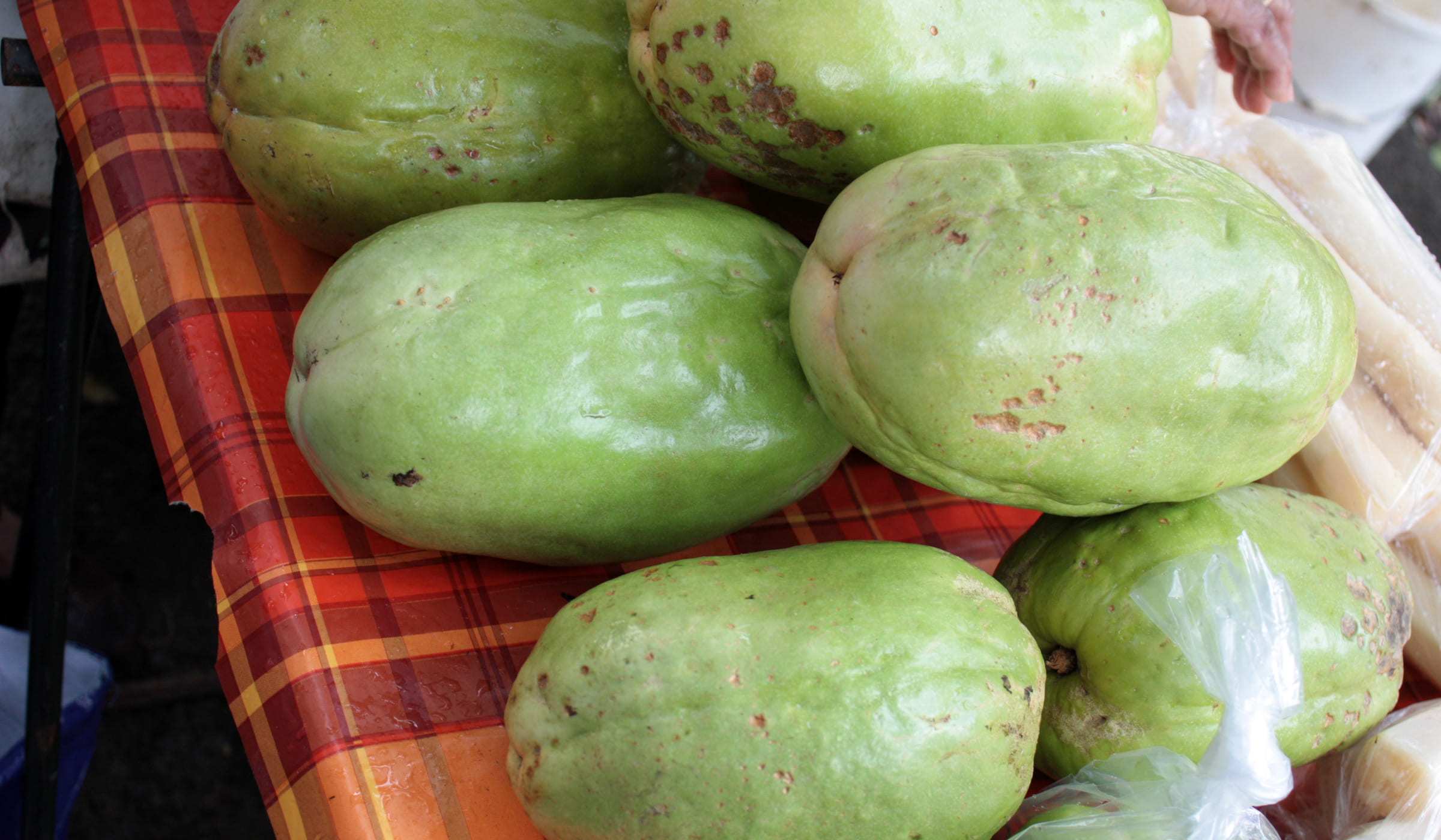 Barbadine coupée en deux