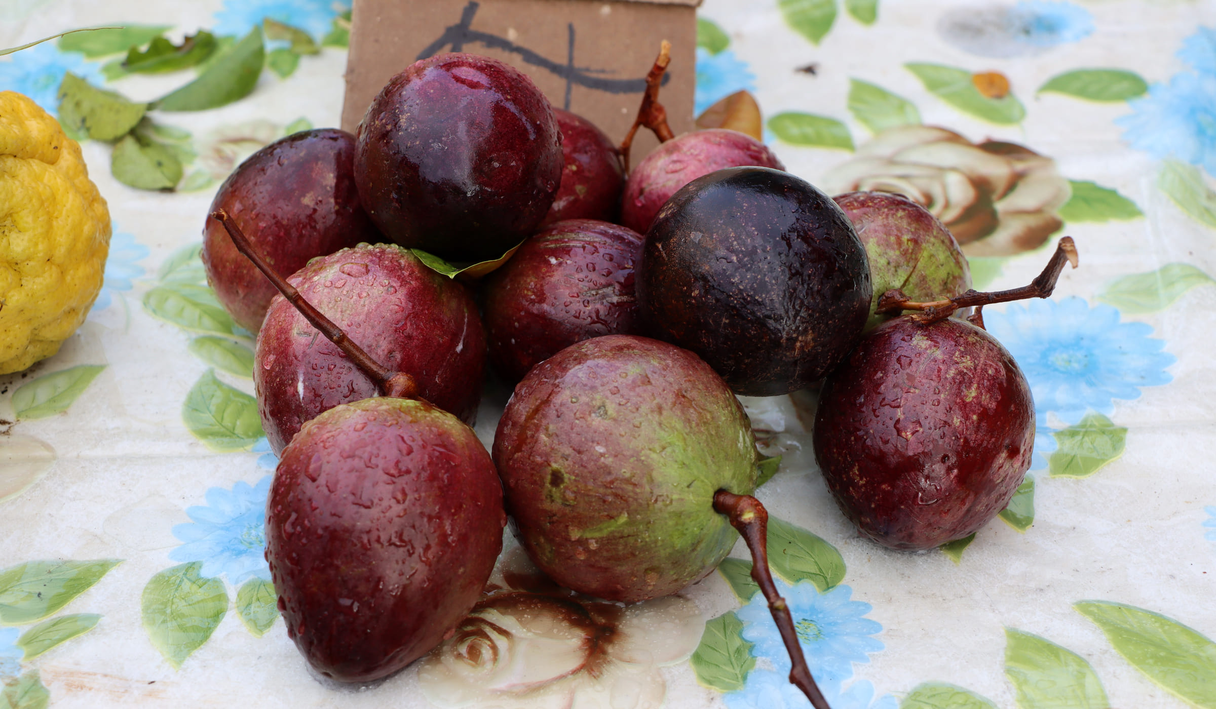 Purple star fruit for sale at Fort-de-France