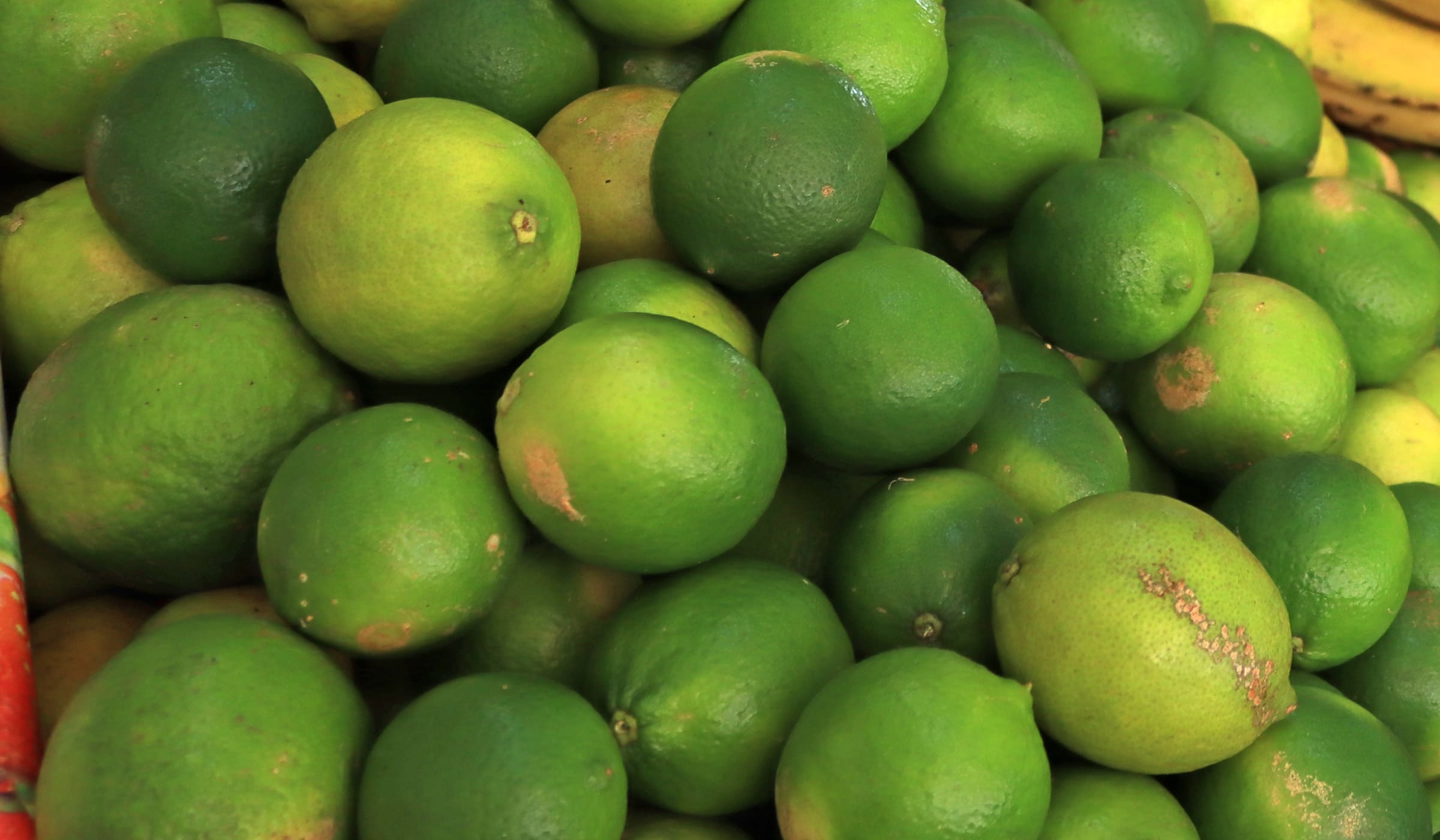 Limes en vente au marche de Fort-de-France