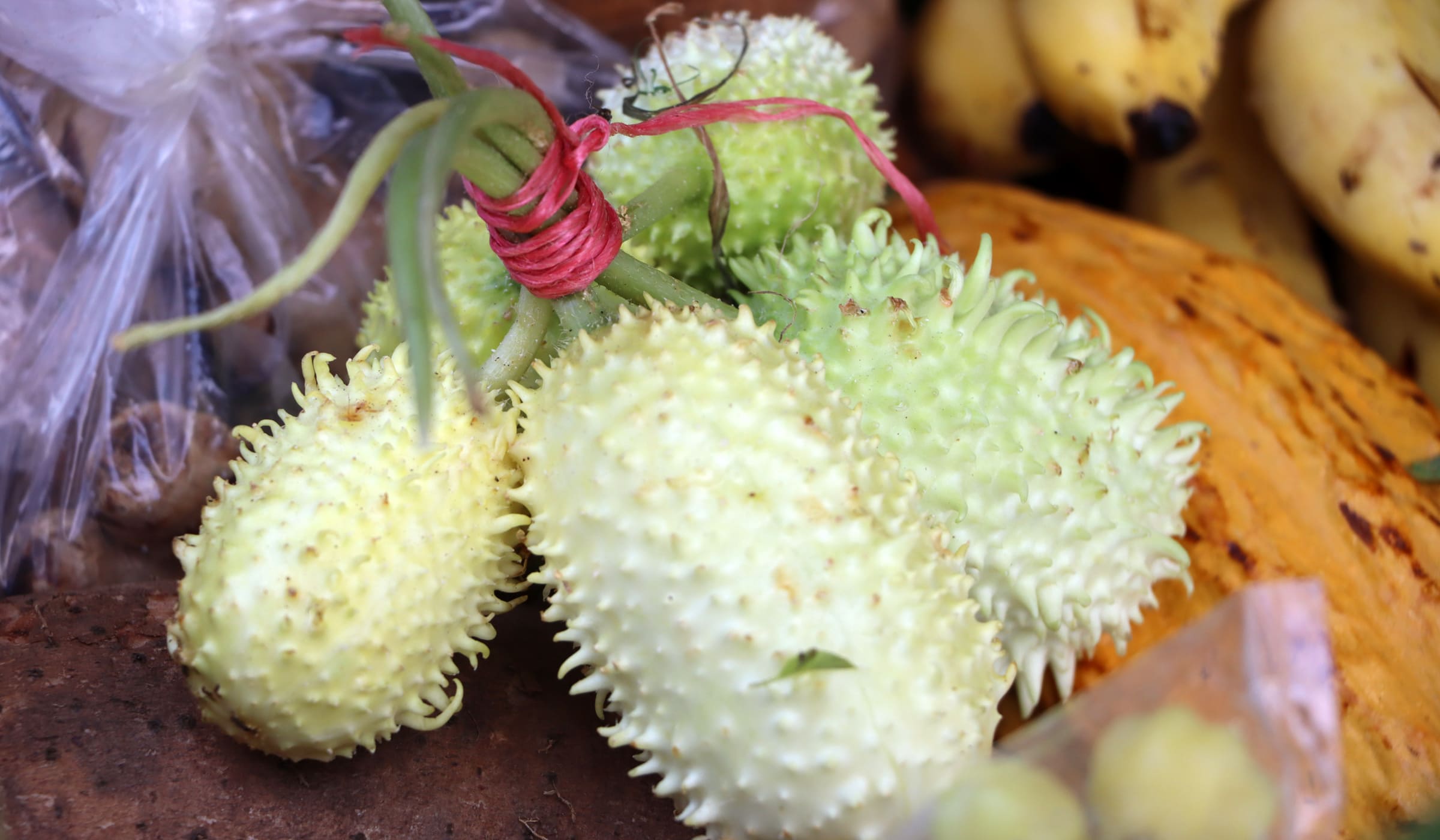 West Indian gherkin for sale et Fort-de-France market