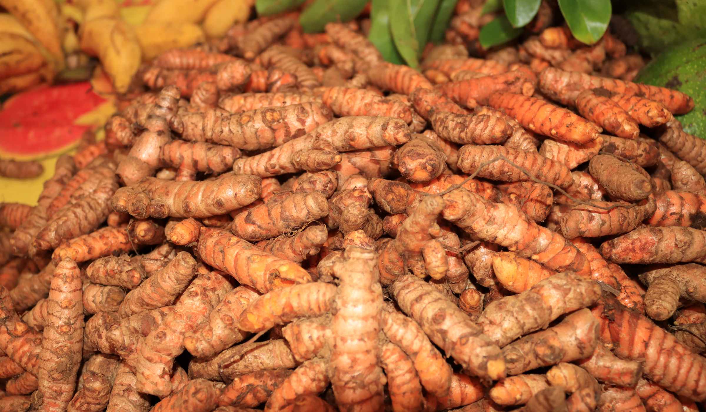 Turmeric tubers for sale at the market in Fort-de-France