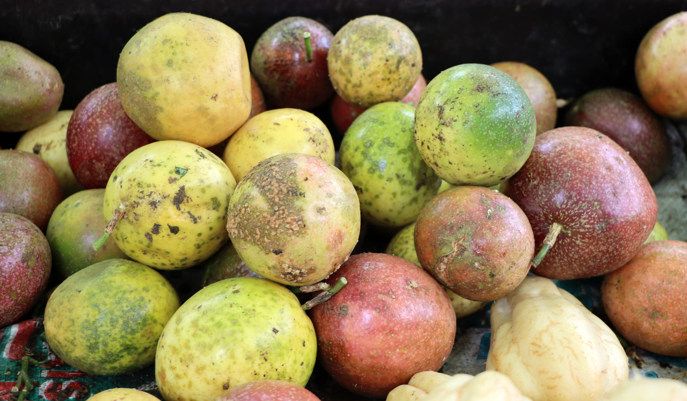 Passion fruits for same at Fort-de-France market