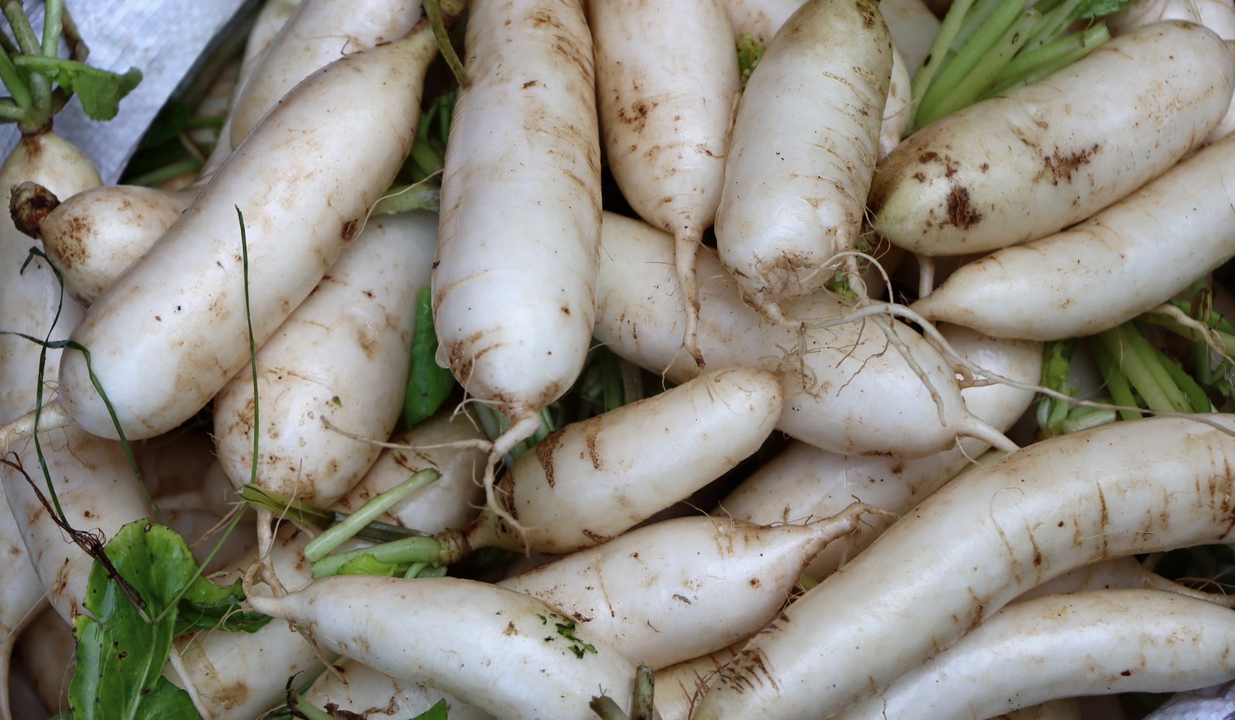 Radishes for sale at Fort-de-France market