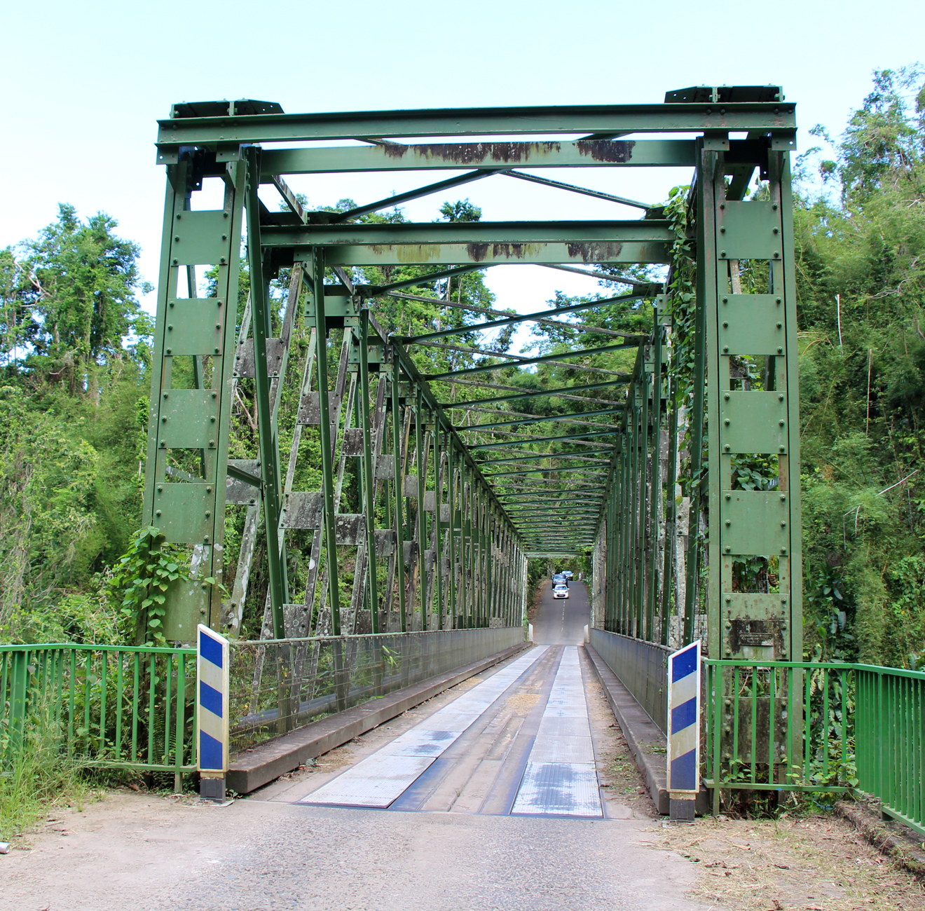 Bridge between Grand'Rivière and Macouba
