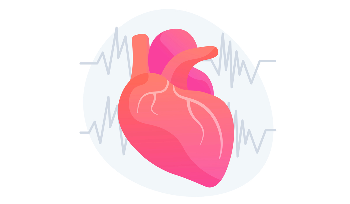 Illustration d'un cœur en bonne santé
