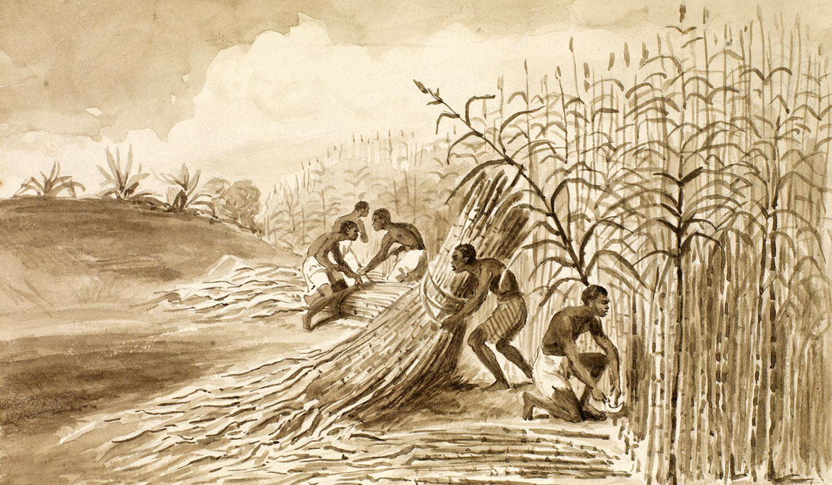 Slavery in Martinique