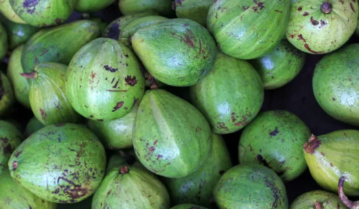 Avocats en vente au marché de Fort-de-France
