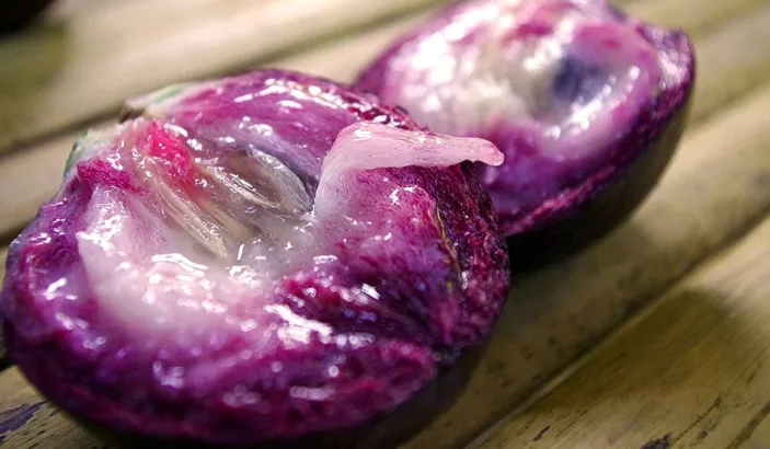 Purple star fruit cut in half