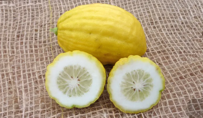 Citron cut in half next to a whole citron