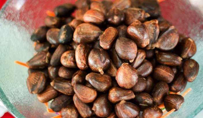 Grilled breadnut seeds