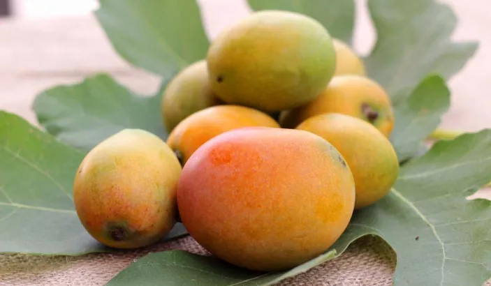 Mangues posées sur une feuille