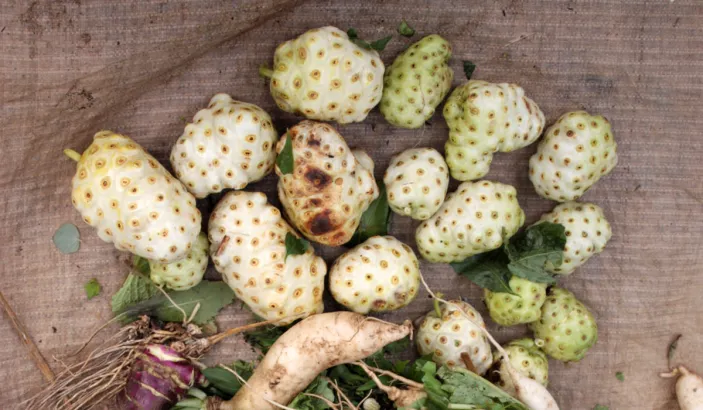 Nonis placed on a table