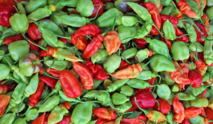 Sweet peppers for sale at Fort-de-France market