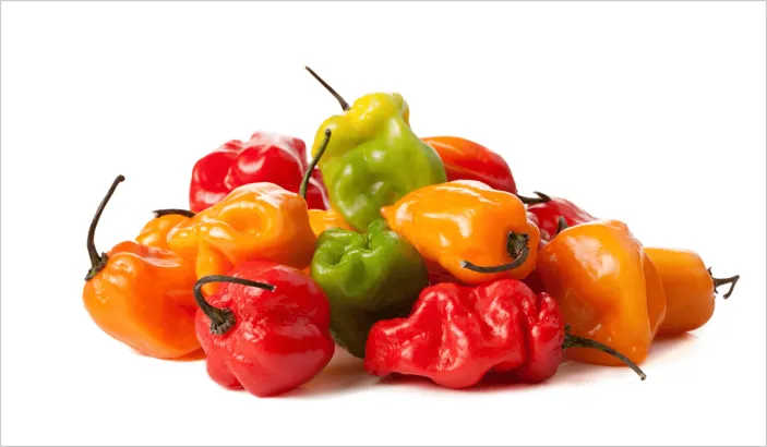 Colored Caribbean chili peppers