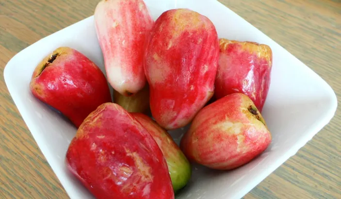 Malay apples in a cup