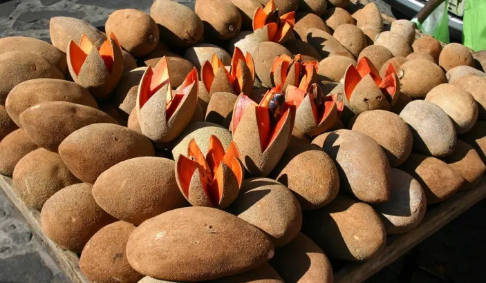 Sapotes for sale at the market