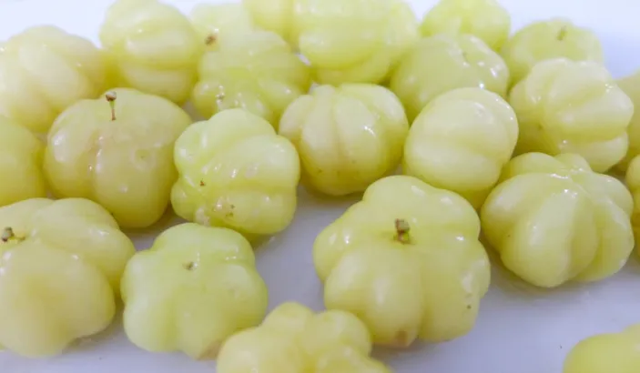 Otaheite gooseberry