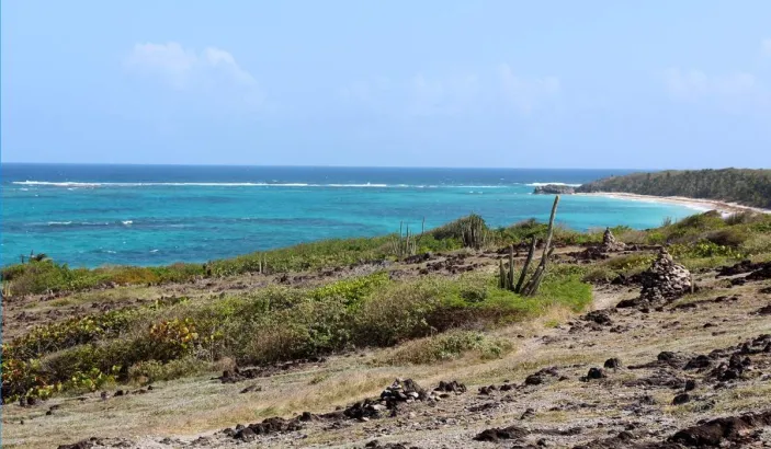Aerial view of Anse Grosse Roche