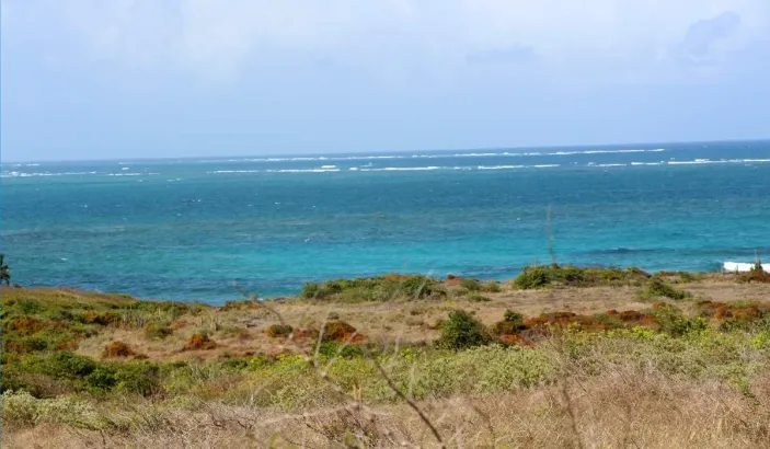 Aerial view of Anse Grosse Roche
