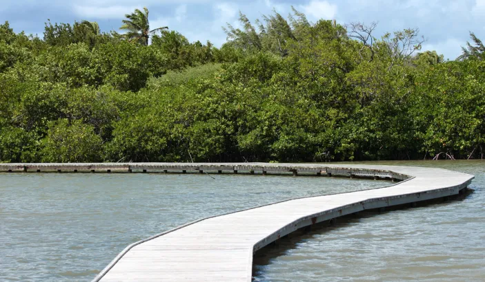 L'étang des Salines