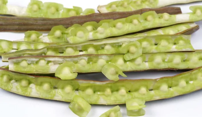 Graines de moringa