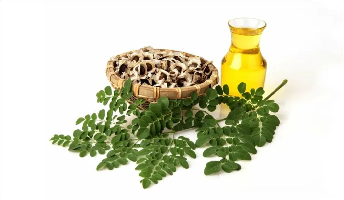 Huilles, gélules et feuilles de moringa