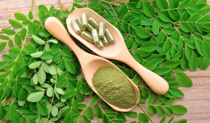 Poudre et feuilles de moringa