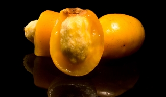 Prune de Chili