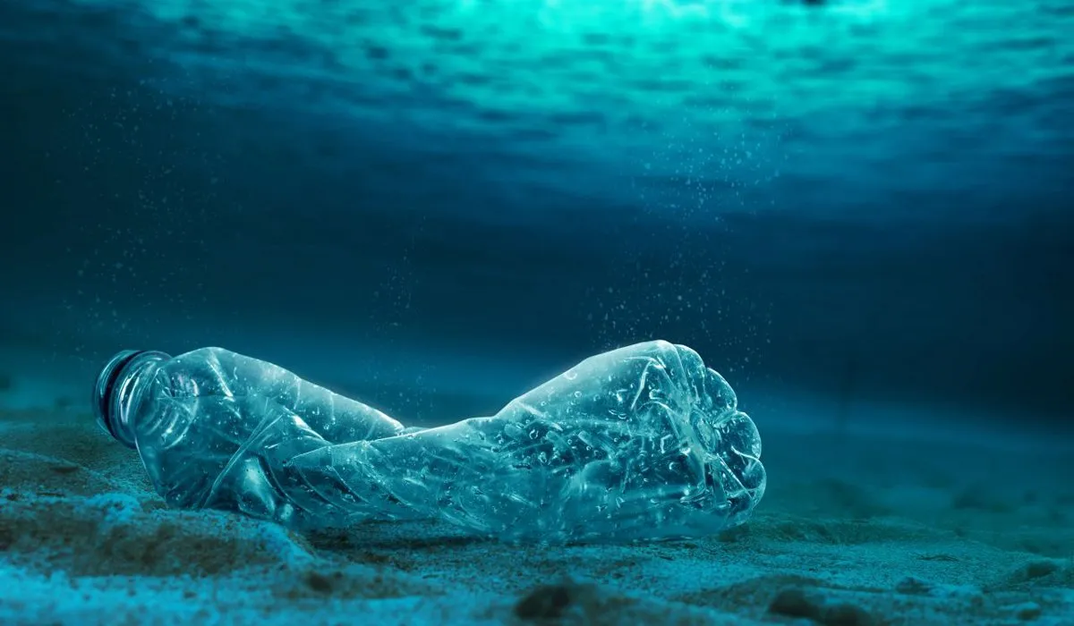Bouteille au fond de l'océan