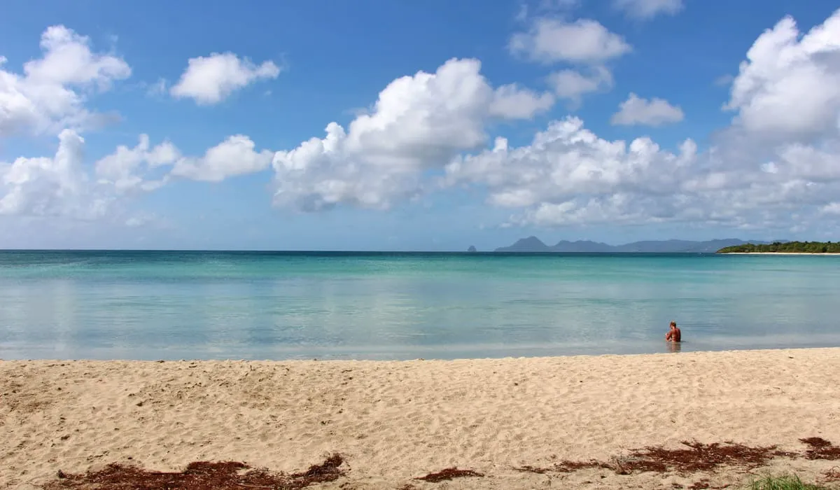 Beach of the Grande Anse des Salines Beach of the Grande Anse des Salines