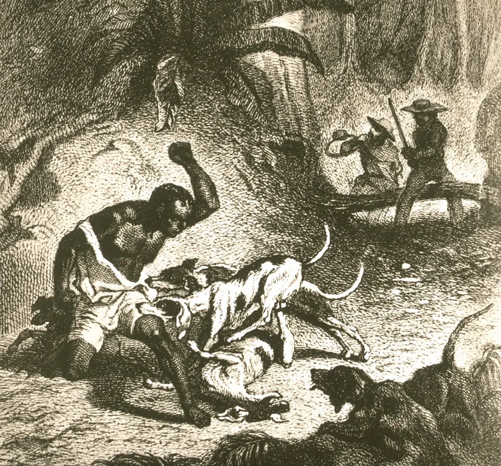 Illustration de chiens entrain de mordre un esclave